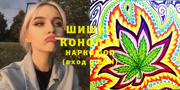 прущие грибы Алзамай