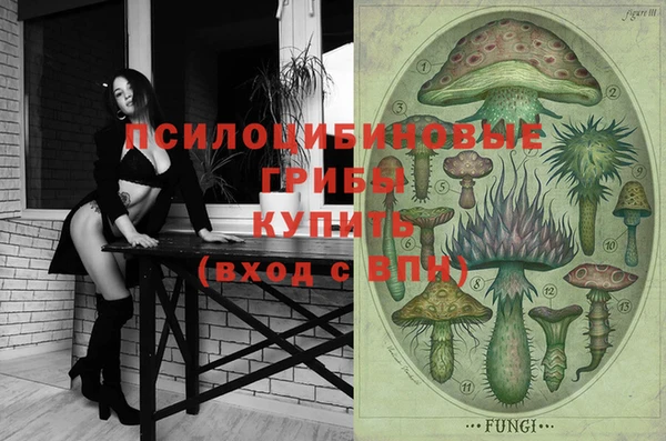прущие грибы Алзамай