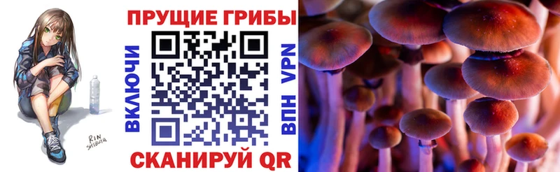 Псилоцибиновые грибы мухоморы  гидра ССЫЛКА  Похвистнево 