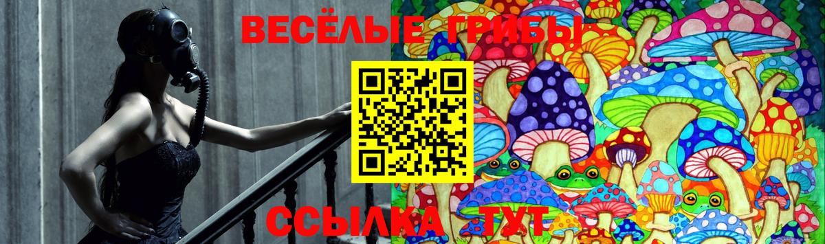 Похвистнево  Псилоцибиновые грибы прущие грибы  Вход с VPN 